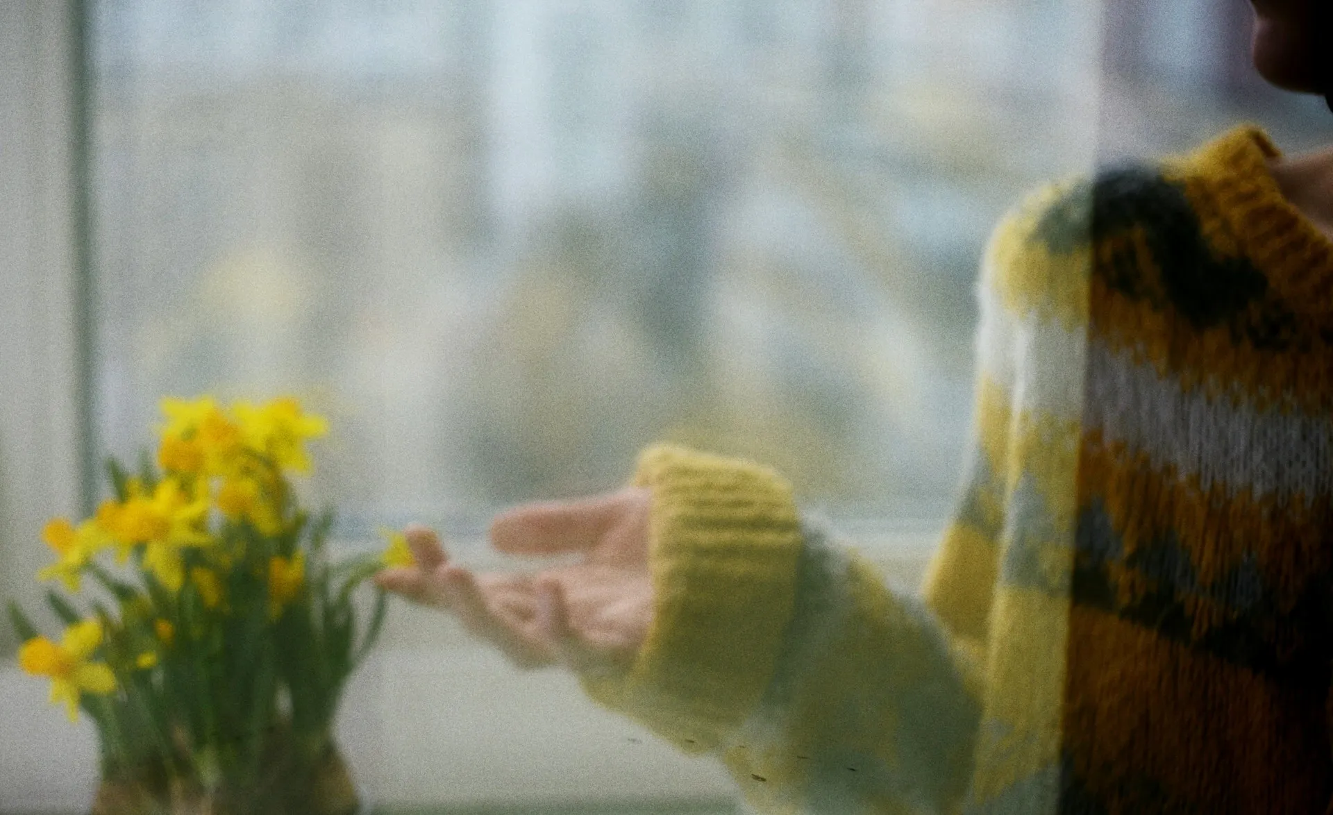 Liana s N27 UWWW68s4 unsplash